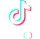 TikTok Icon